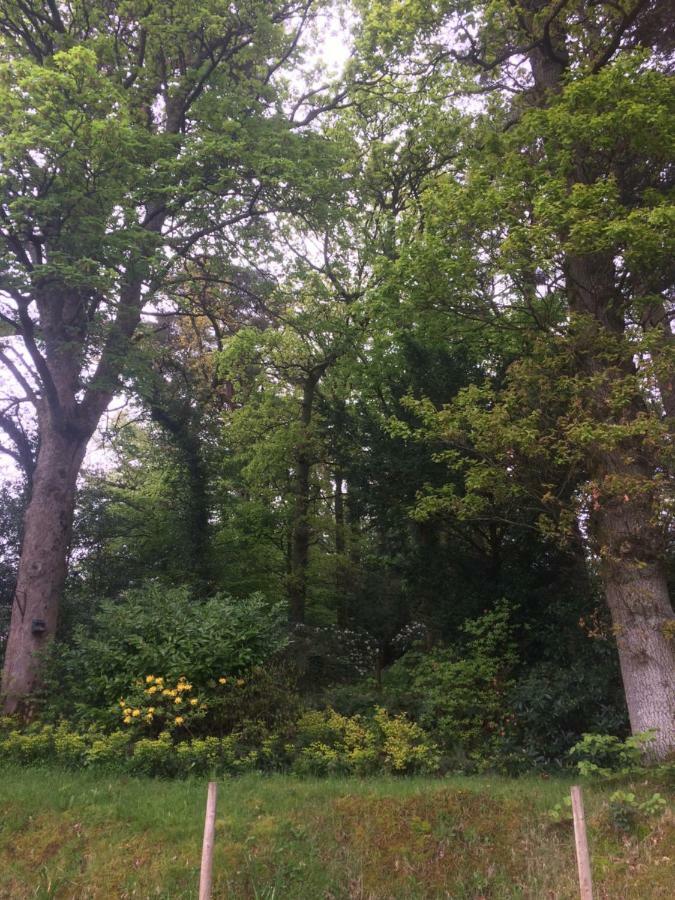 Claremont House Keswick Bed and Breakfast Κέσγουικ Εξωτερικό φωτογραφία
