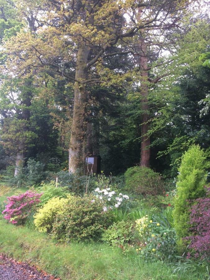 Claremont House Keswick Bed and Breakfast Κέσγουικ Εξωτερικό φωτογραφία